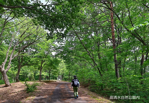 8-高清水自然公園内.jpg